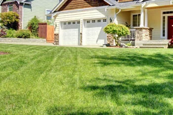City 1 home with a professionally mowed and maintained lawn.